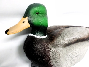 Avian X Topflight Mallard ducks for duck hunting and duck boaters